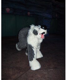 マックス走る💨 | その他