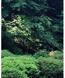 FREAK'S STORE | シャツ/ブラウス