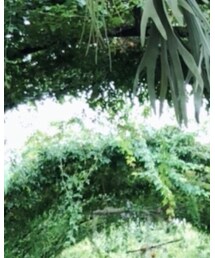 EDIFICE | スラックス