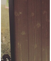 Champion | ニットキャップ/ビーニー