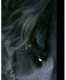 KINJI | ブルゾン