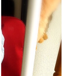 UNIQLO | デニムパンツ