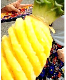 パイナップル | その他