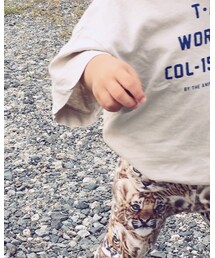 TAO | Tシャツ/カットソー