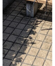 GU | スニーカー