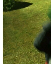 ROLLING CRADLE | パーカー