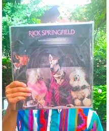 RICK SPRINGFIELD | レコード