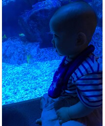 水族館① | その他