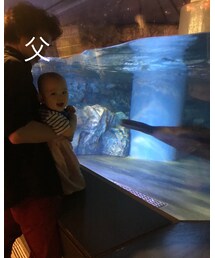 水族館② | その他
