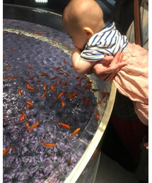 水族館③ | その他