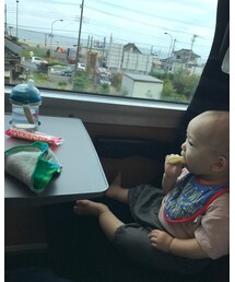 田舎の車窓かぐら🖼 | その他