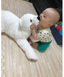 くまさんがお好き🐻 | おもちゃ