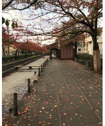 かぁーぐーを探せ4️⃣ | ラッピングキット