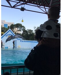 いるかジャンプ🐬 | その他