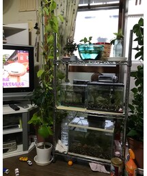 かぁーぐーを探せ⑧ | 福袋/福箱