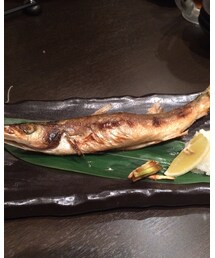 カマスの塩焼き | その他
