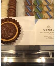 チョコタルト | その他