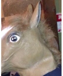 サラブレッド | ハンチング/ベレー帽