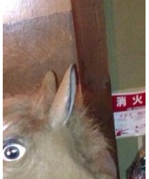 耳 | ハンチング/ベレー帽