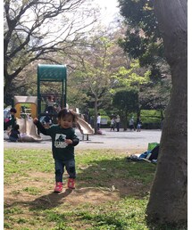 お花見 | その他