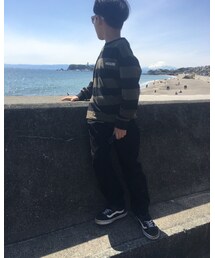 富士山見えた | その他