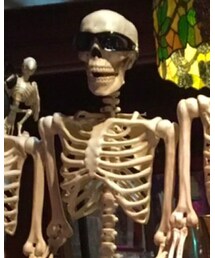 グラサンマン | その他