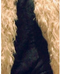 ZARA | Tシャツ/カットソー