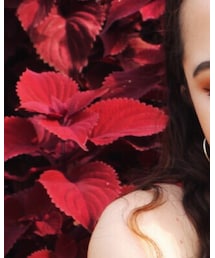 Colourpop | ファンデーション