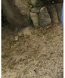 Birthday | ニットキャップ/ビーニー