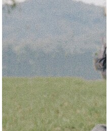 VINTAGE | Tシャツ/カットソー