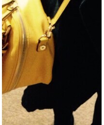 Samantha Thavasa | ショルダーバッグ