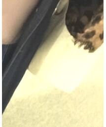 Lead FCグッズ | トートバッグ