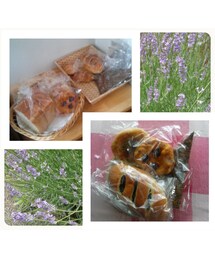 パンだょ～(笑)(ラッピングキット)