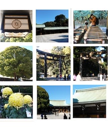 明治神宮行ったのよ♪(その他)