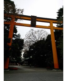 氷川神社♪(その他)