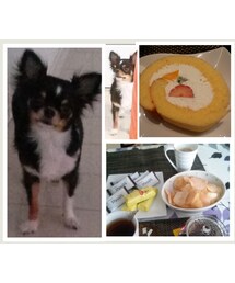 親友の家に
お邪魔して♪
楽しい♪お話♪♪
愛犬のチロルちゃん♪♪(食器)