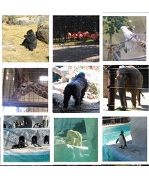動物園♪(その他)