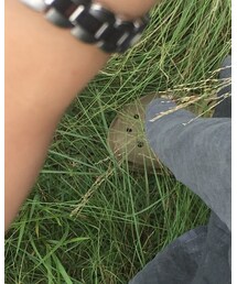 crocs | サンダル