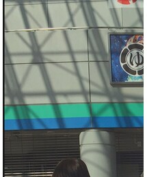 ゆずのみ | その他