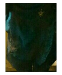 VivienneWestwood | その他トップス