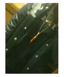 X-LARGE | Tシャツ/カットソー