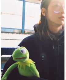 セサミのカエル | おもちゃ