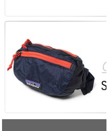 patagonia | ボディバッグ/ウエストポーチ