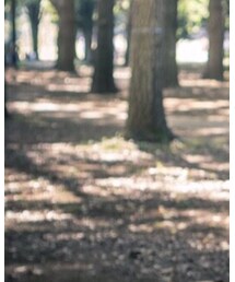 Vivienne Westwood | アナログ腕時計