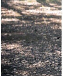 H&M DIVIDED | その他パンツ