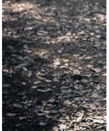 MIHARAYASUHIRO | ブーツ