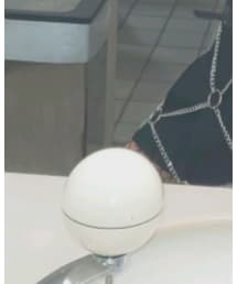 WEGO | タイツ/ストッキング