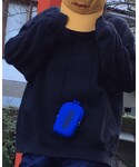 STUSSY(ステューシー)の「トップス(スウェット)」