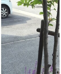 URBAN RESEARCH | 帽子