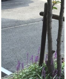 green label relaxing | ワンピース/ドレス